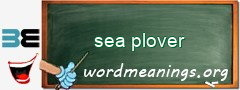 WordMeaning blackboard for sea plover